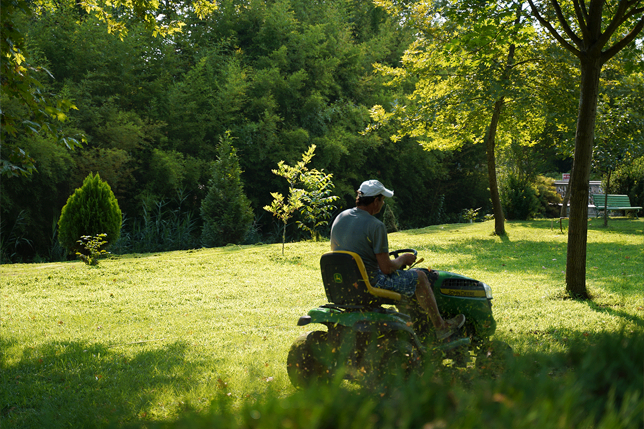 Start a lawn care business